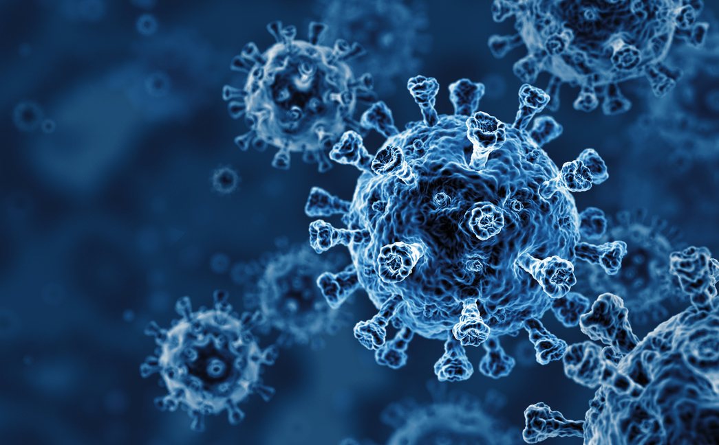 Иллюстрация к новости: Бессмертные клетки и математика раскрыли механизм инфицирования коронавирусом
