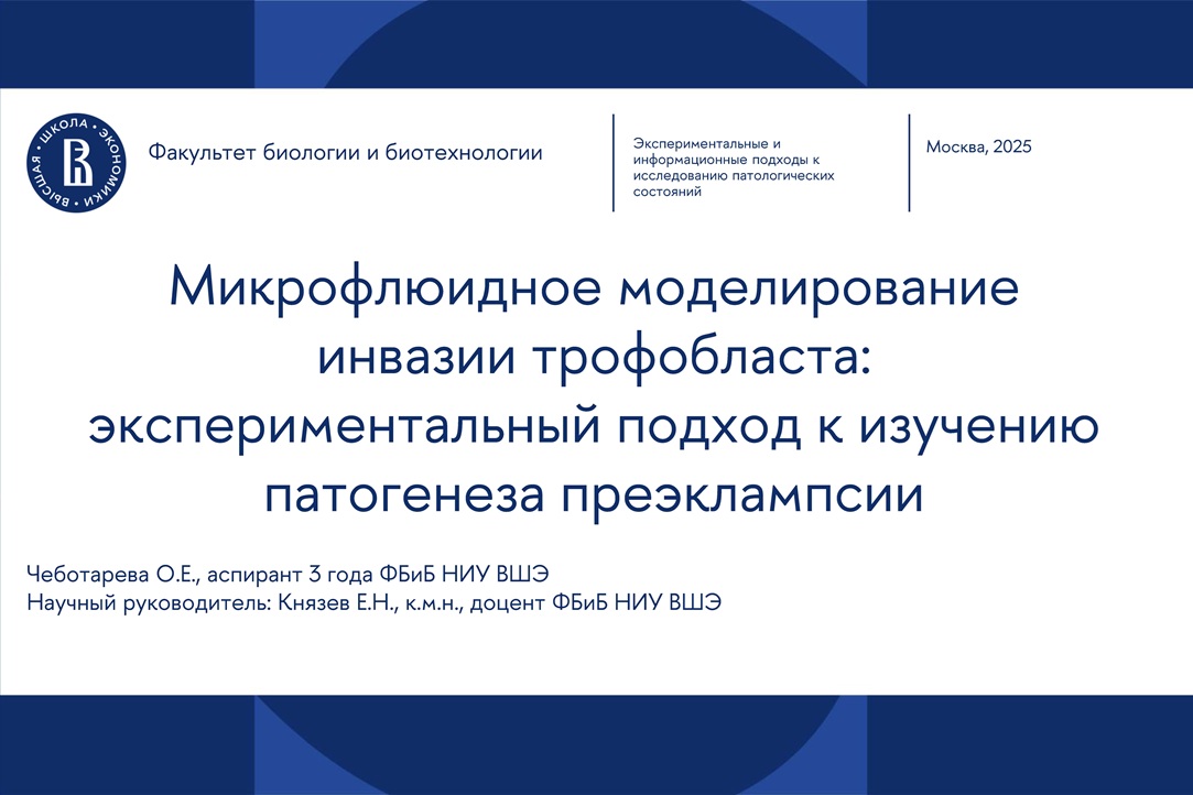 Сотрудница лаборатории представила доклад на конференции «Экспериментальные и информационные подходы к исследованию патологических состояний» Иллюстрация к новости: Сотрудница лаборатории представила доклад на конференции «Экспериментальные и информационные подходы к исследованию патологических состояний»