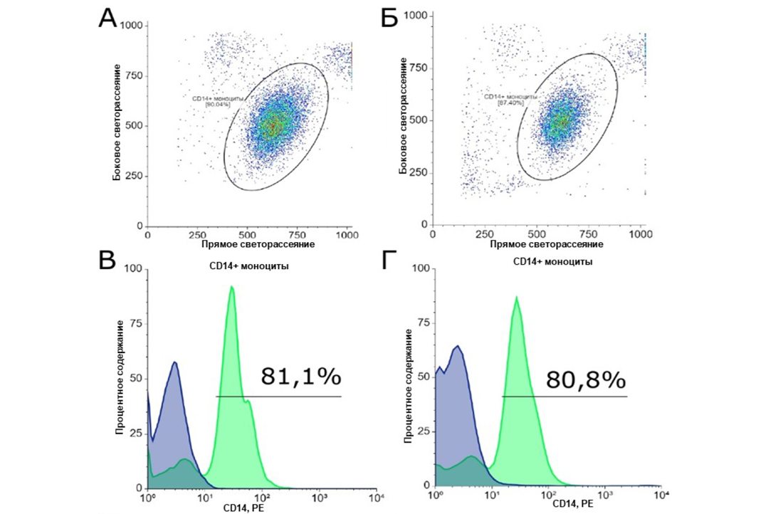 Joint Study by Molecular Physiology Laboratory and Kulakov National Medical Research Center Published in RUDN Journal of Medicine Illustration for news: Joint Study by Molecular Physiology Laboratory and Kulakov National Medical Research Center Published in RUDN Journal of Medicine
